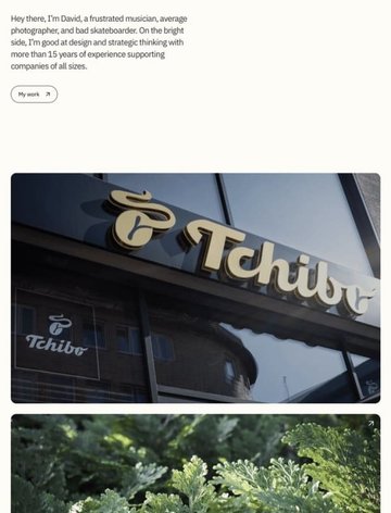 Screenshot of David Mendes