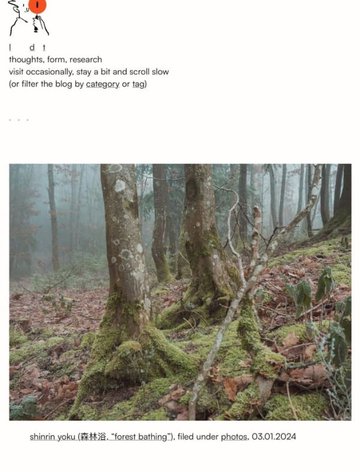 Screenshot of Lucas Rees