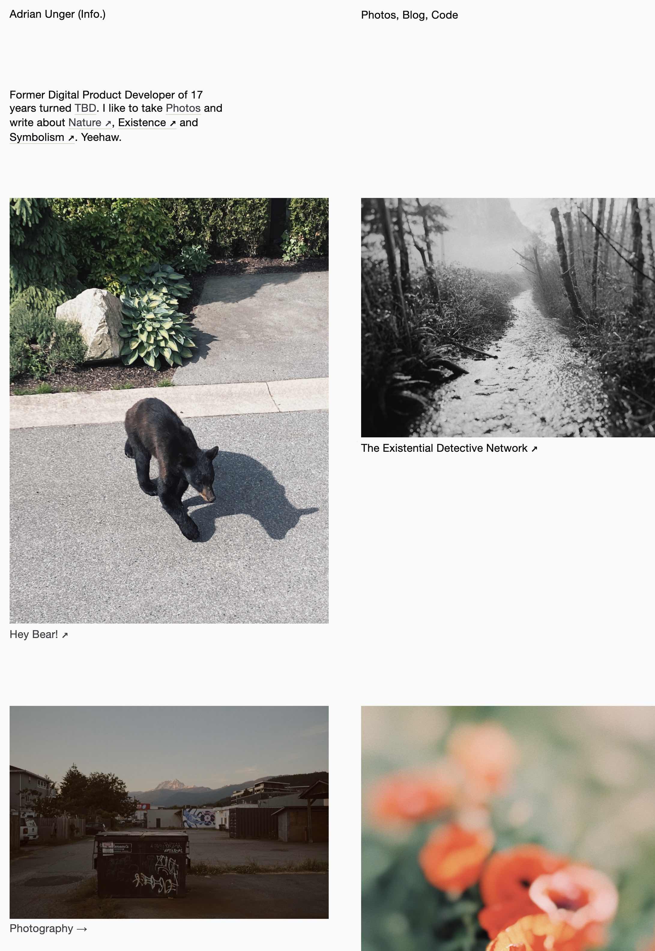 Screenshot of Adrian Unger